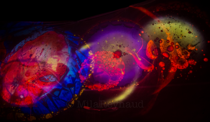 Mad Alchemy - Photography by Mila Reynaud