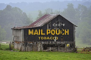 Have a Chew